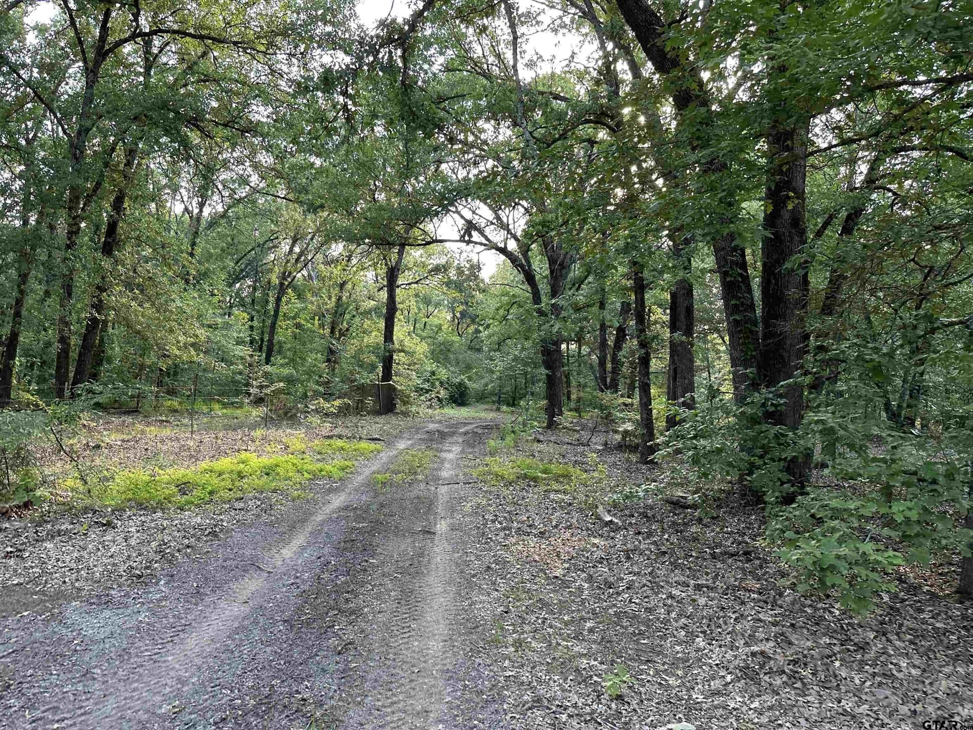 25 acres in Hopkins County featured view