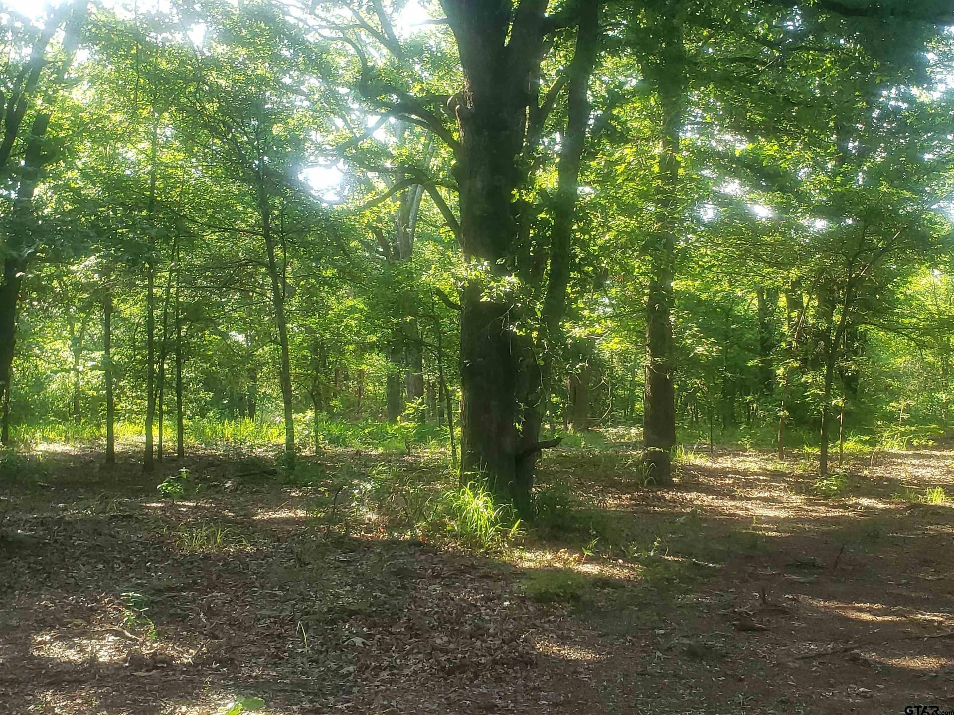 25 acres in Hopkins County - photo 16