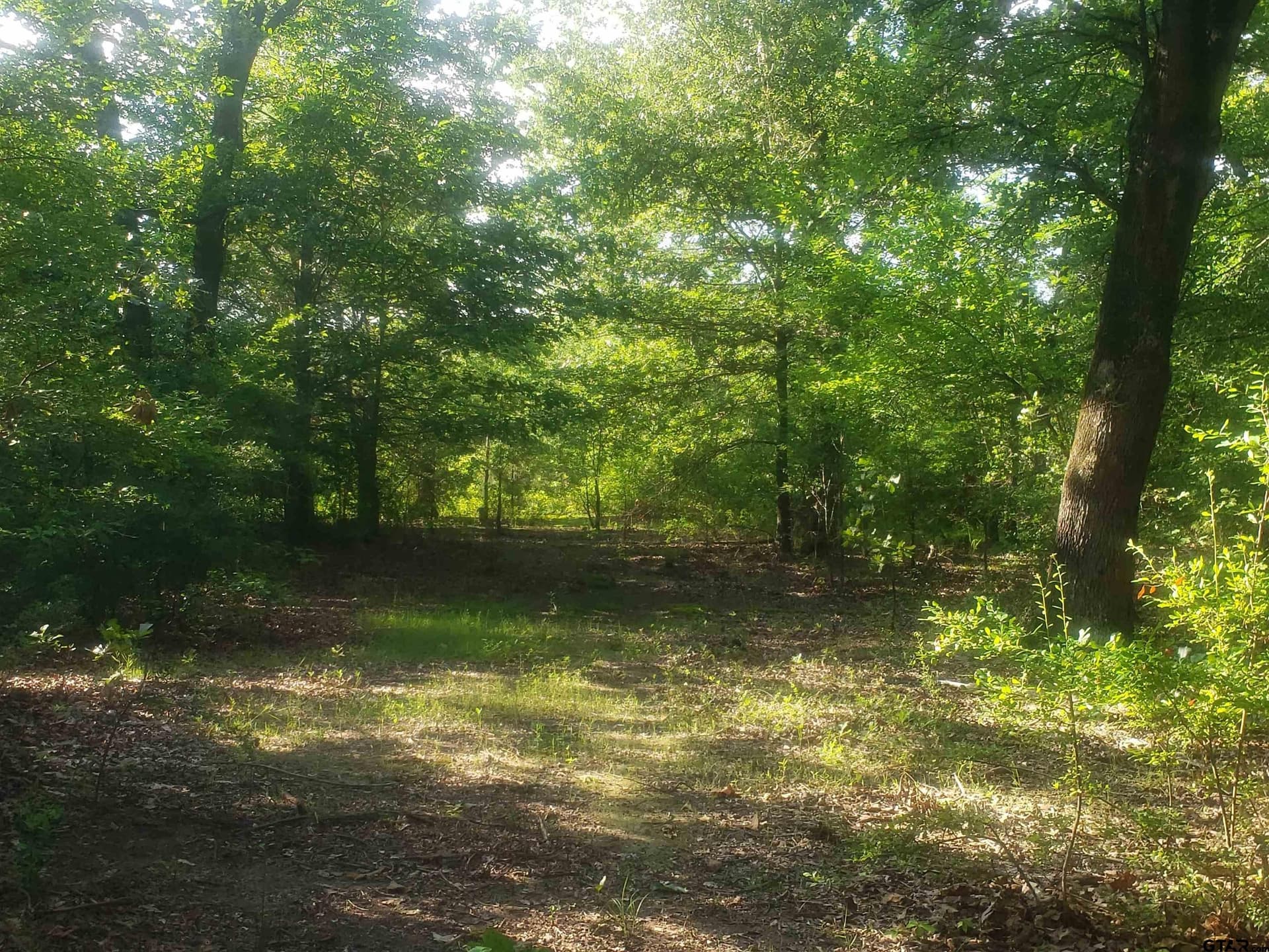 25 acres in Hopkins County - photo 18