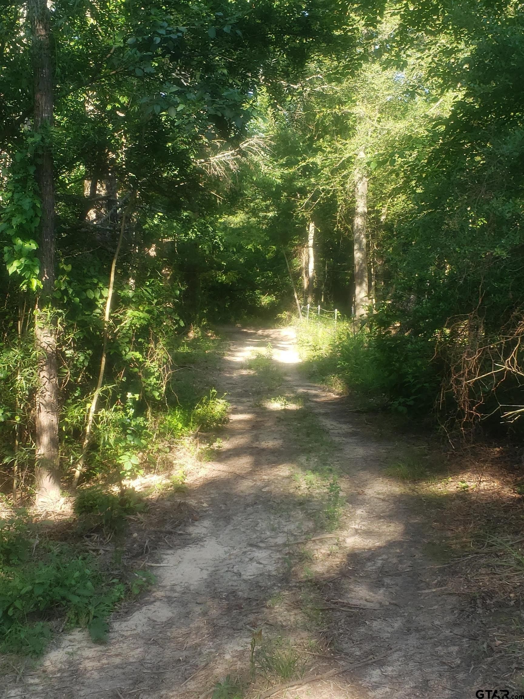 25 acres in Hopkins County - photo 13