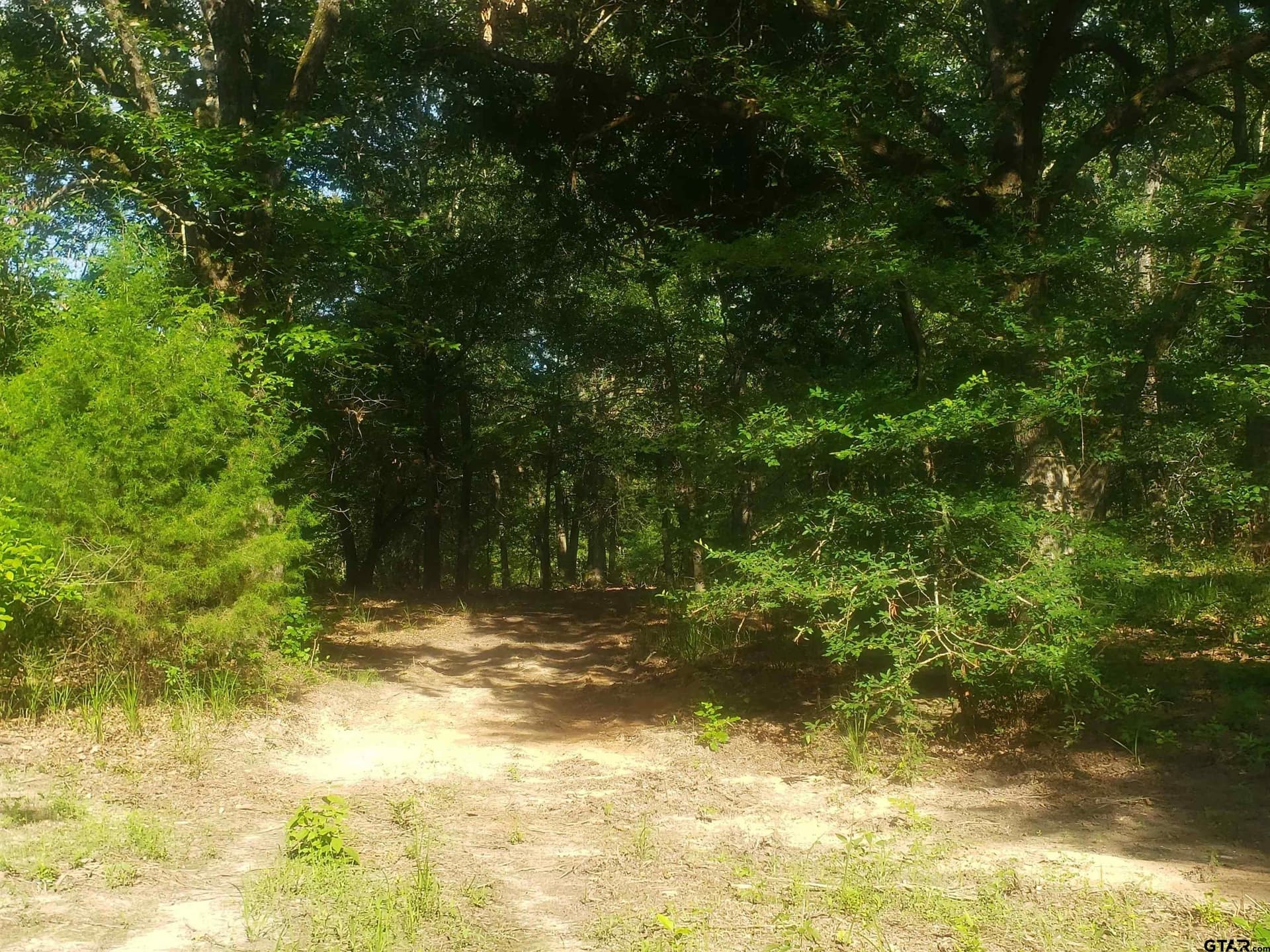 25 acres in Hopkins County - photo 7