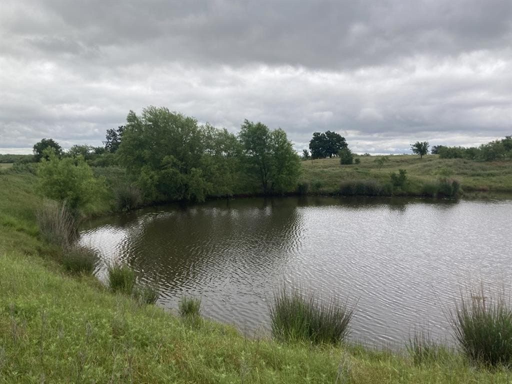 160 acres in Young County