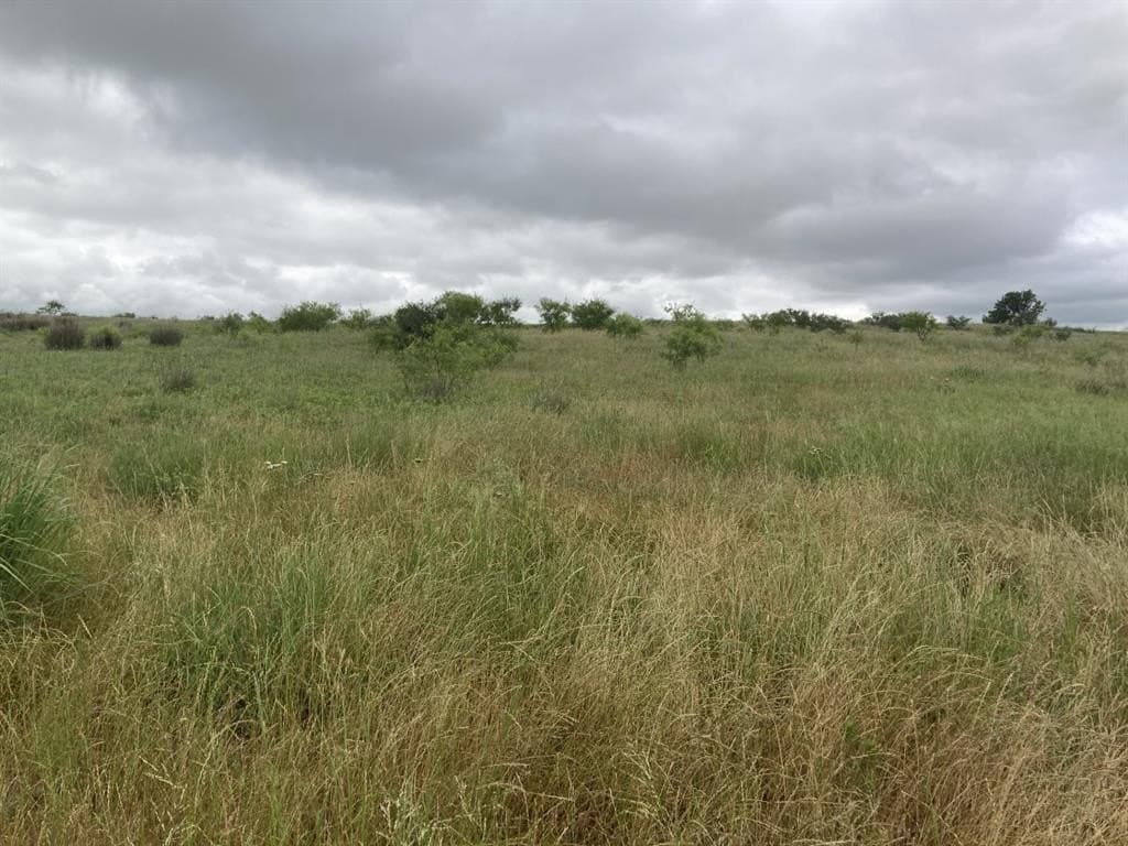 160 acres in Young County gallery image 2