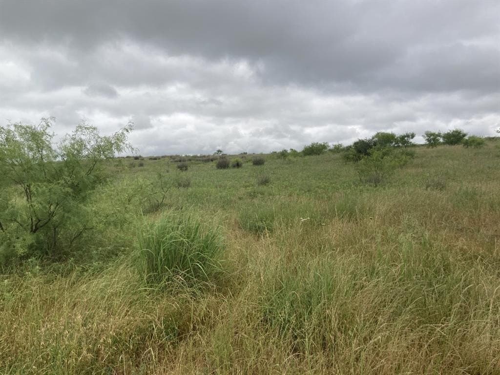 160 acres in Young County gallery image 4