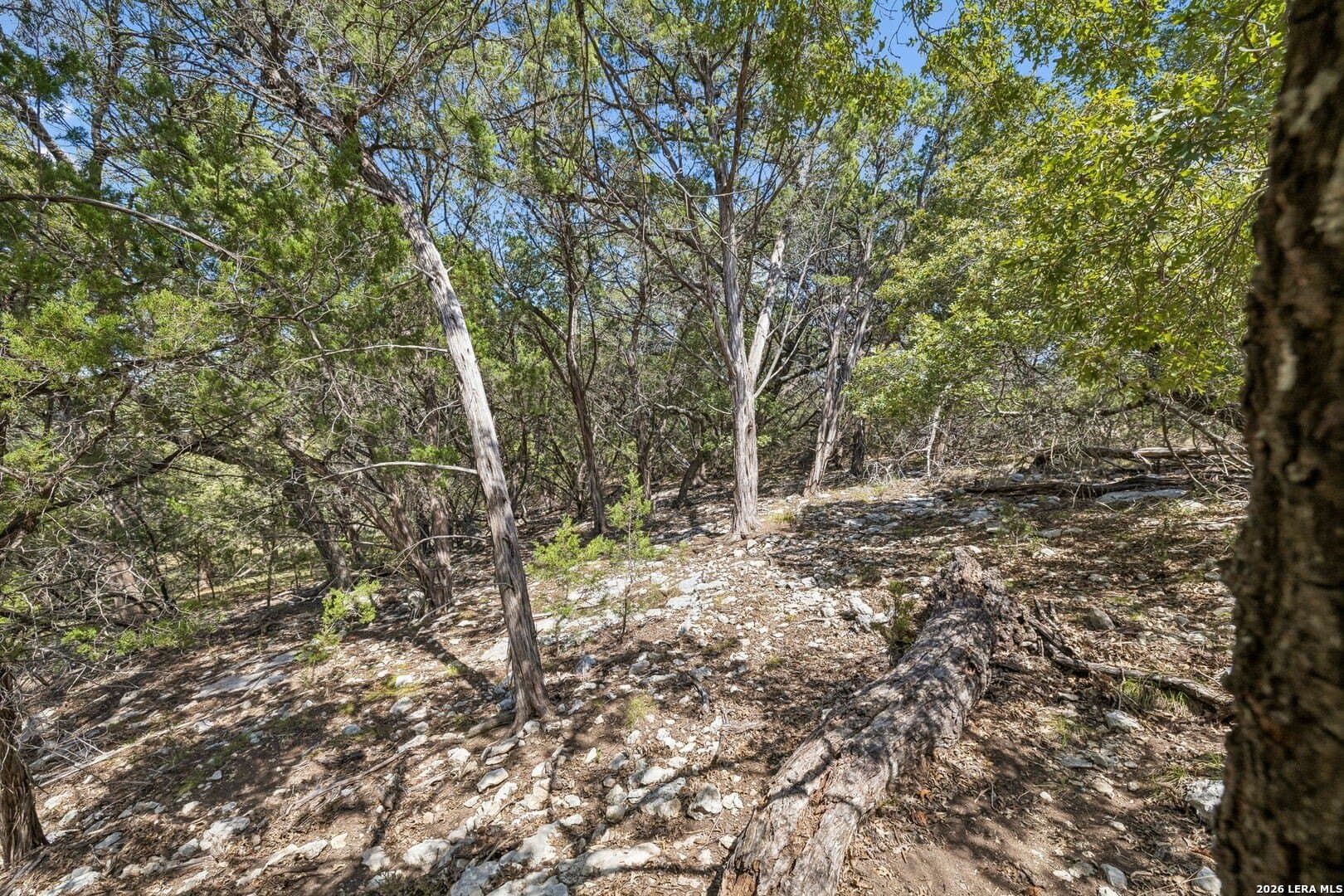 0.79 acres in Bandera County - photo 8