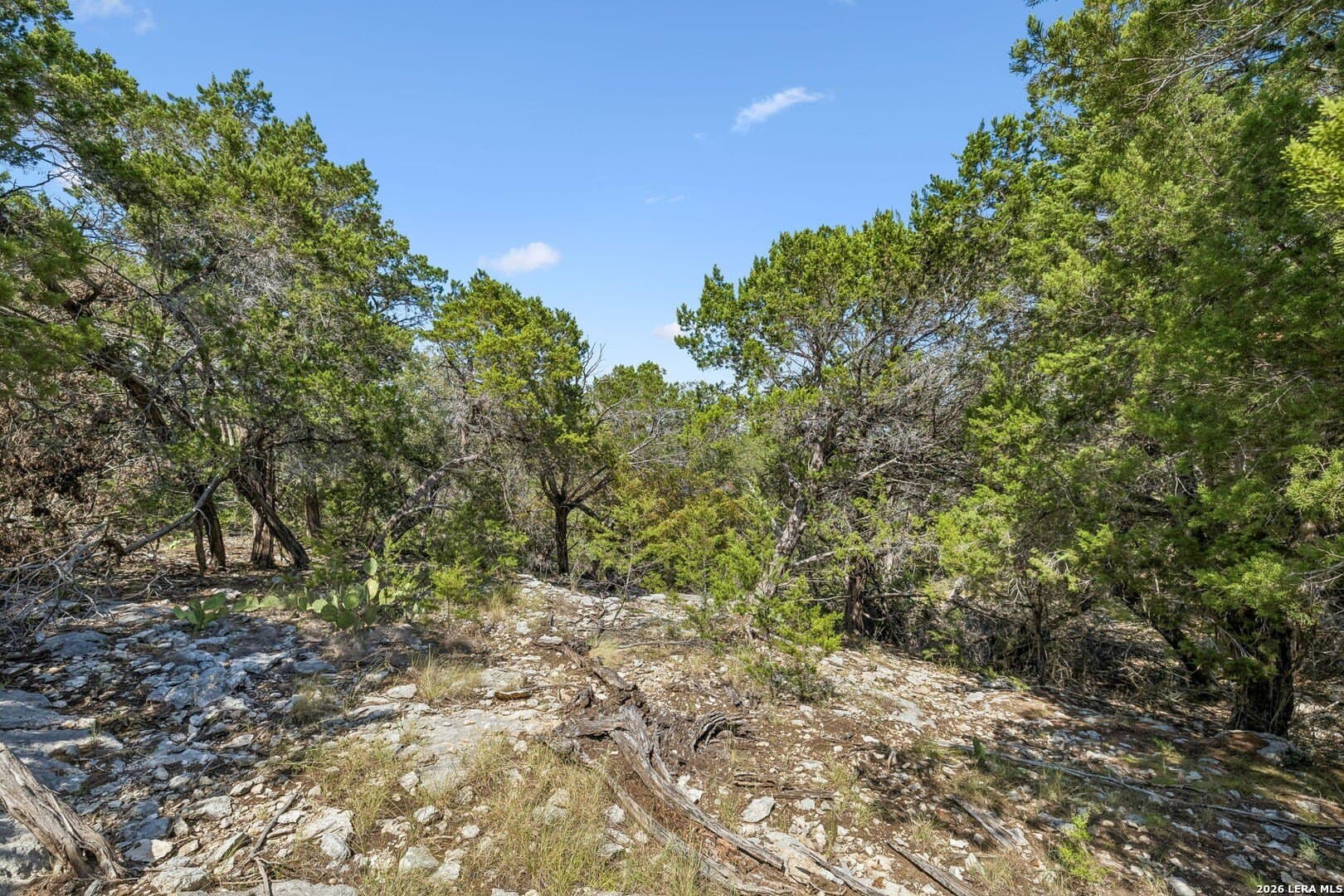 0.79 acres in Bandera County - photo 9