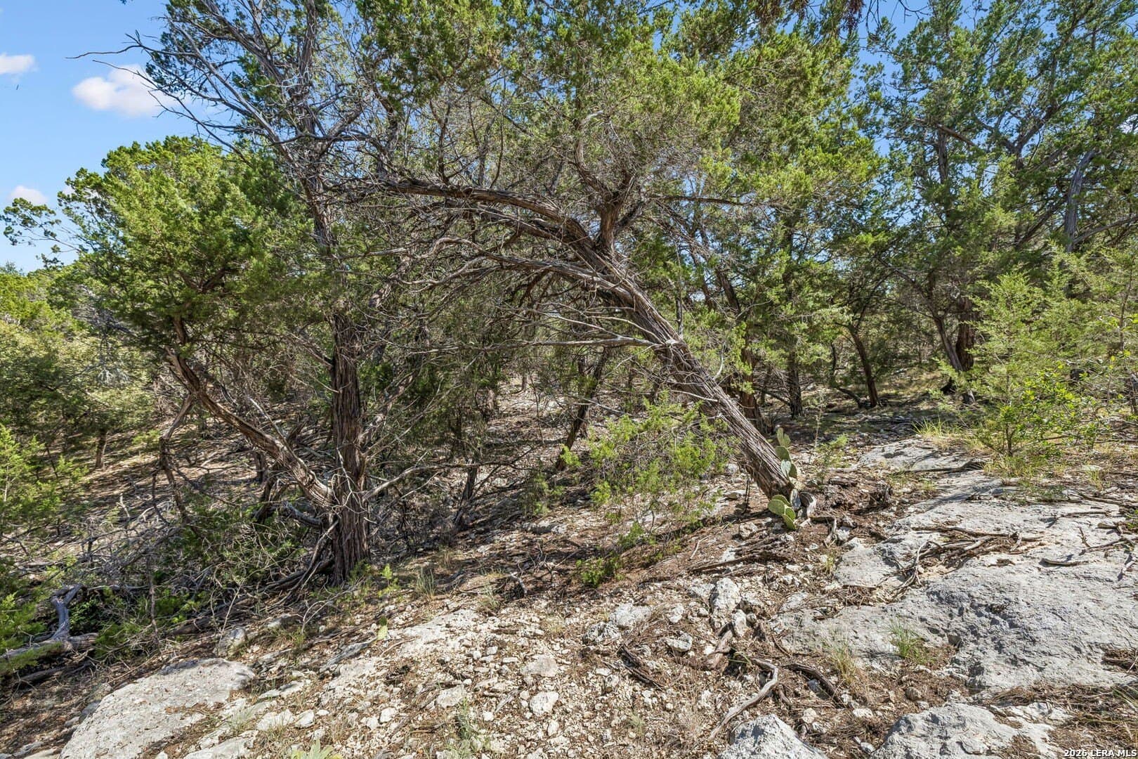 0.79 acres in Bandera County - photo 11
