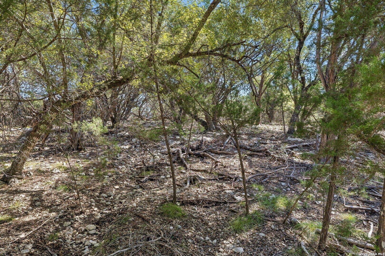 0.79 acres in Bandera County - photo 12