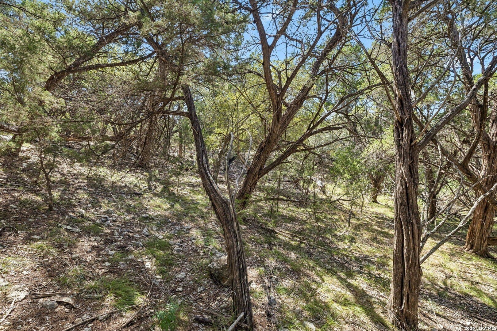 0.79 acres in Bandera County - photo 13