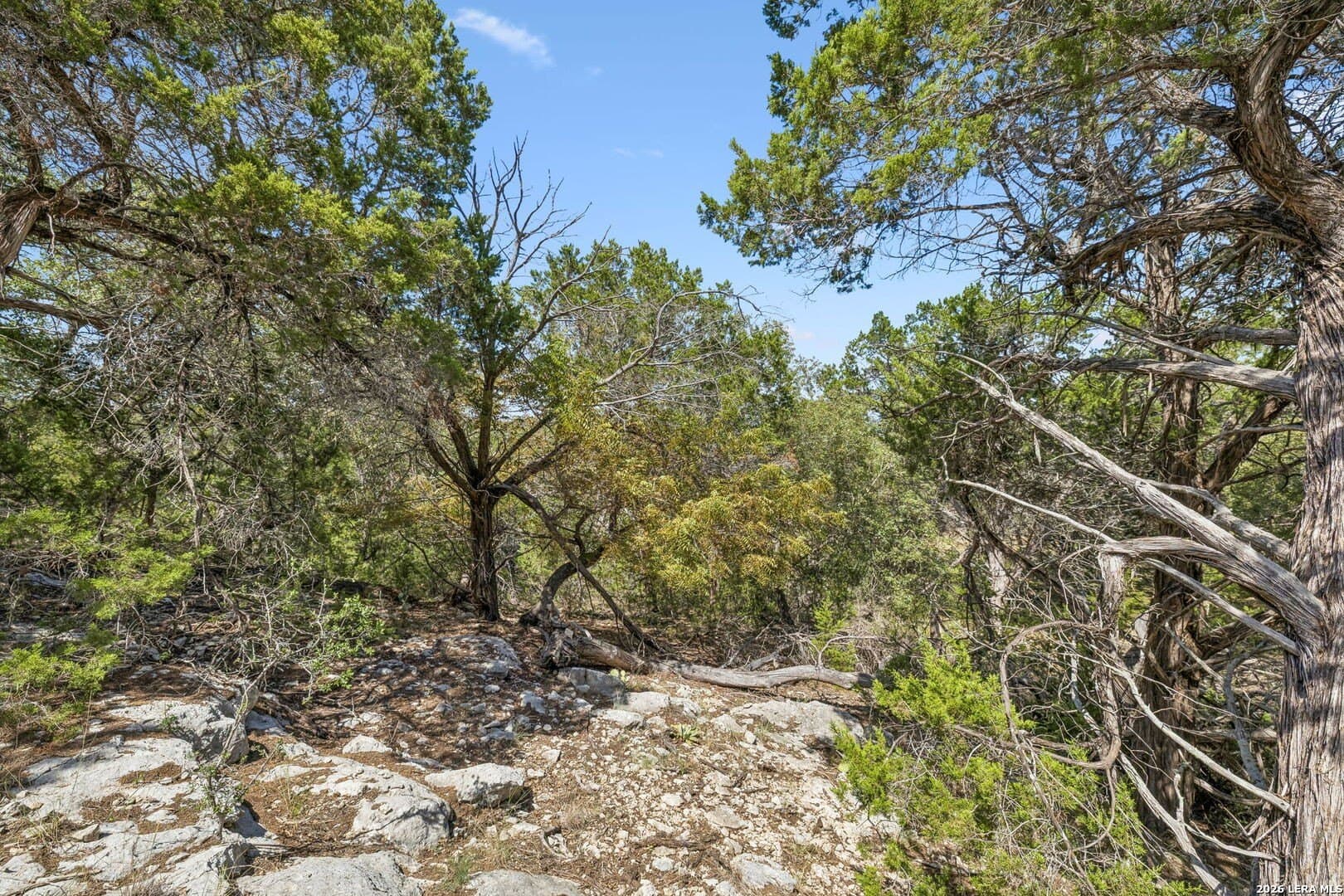 0.79 acres in Bandera County - photo 10