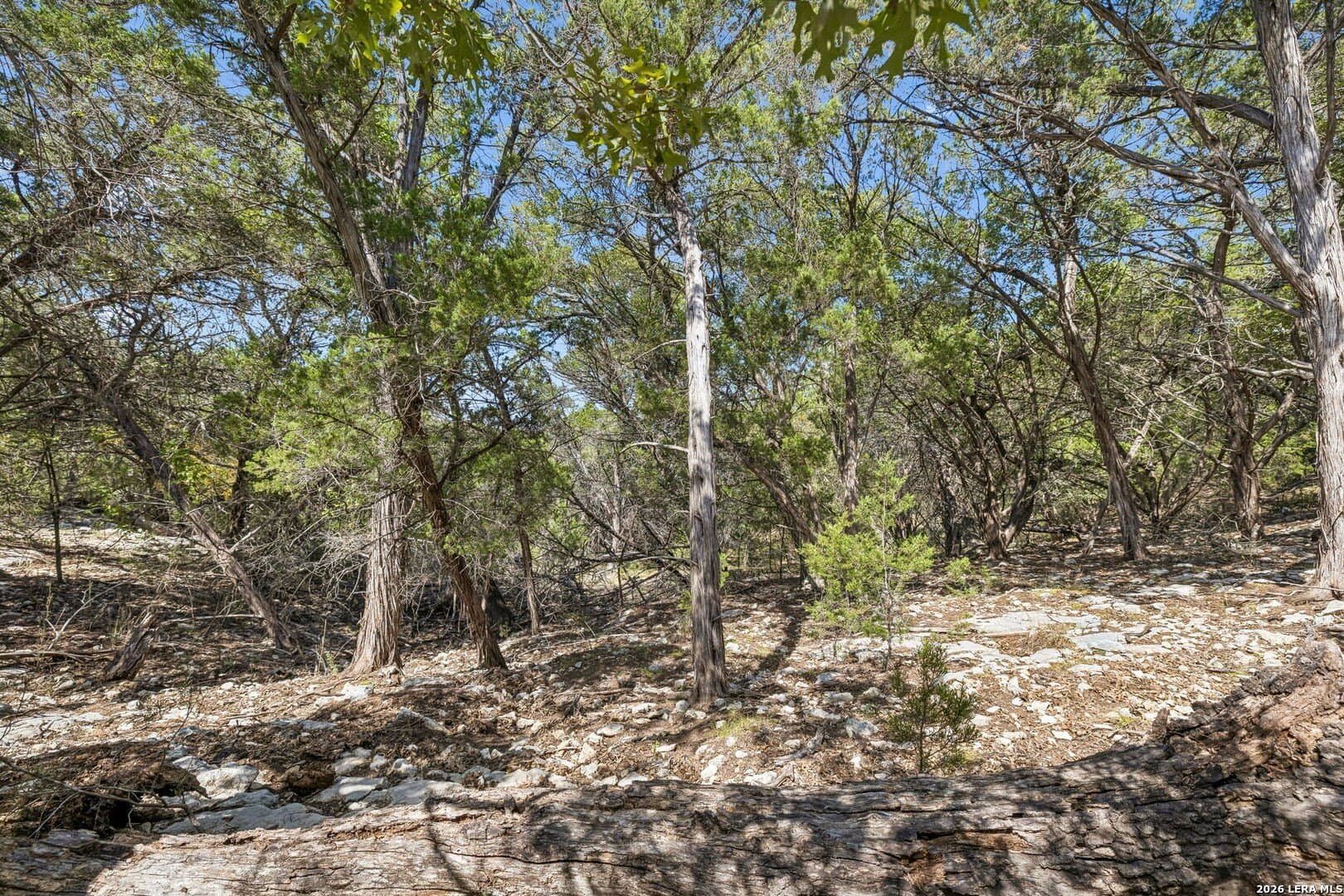 0.79 acres in Bandera County - photo 7