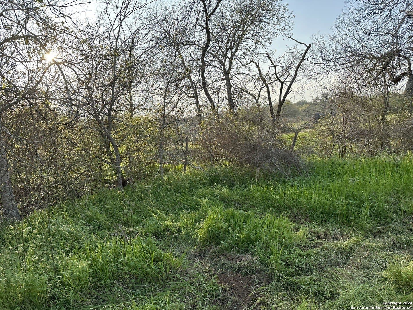4.48 acres in Wilson County - photo 6