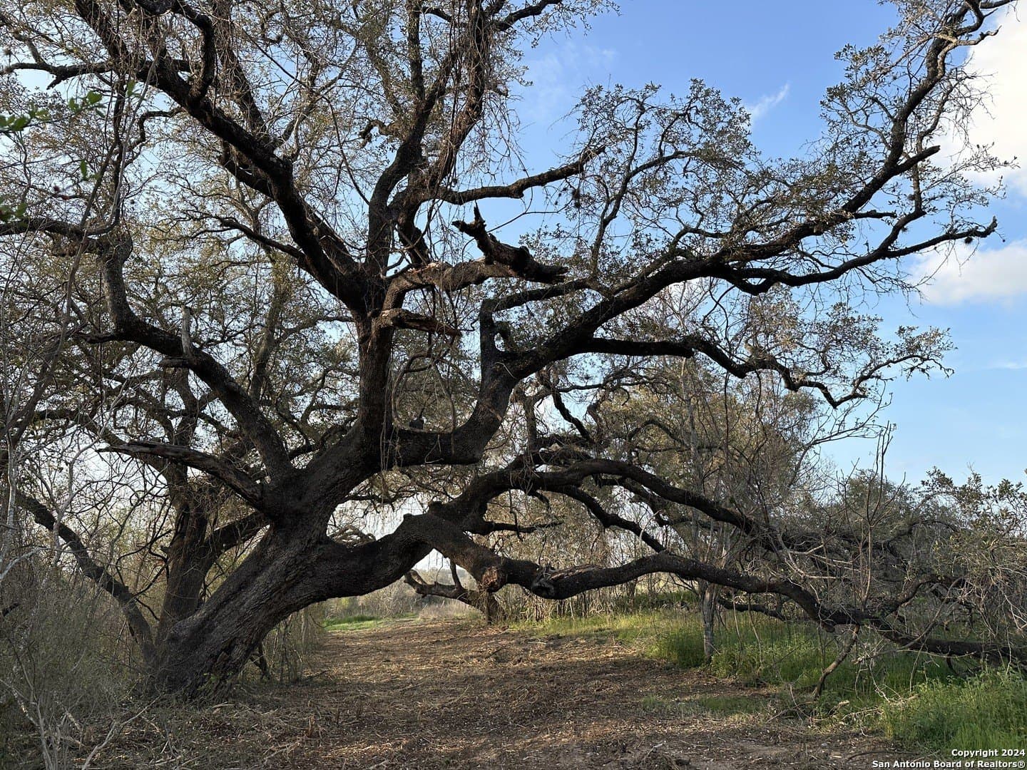 4.48 acres in Wilson County featured view