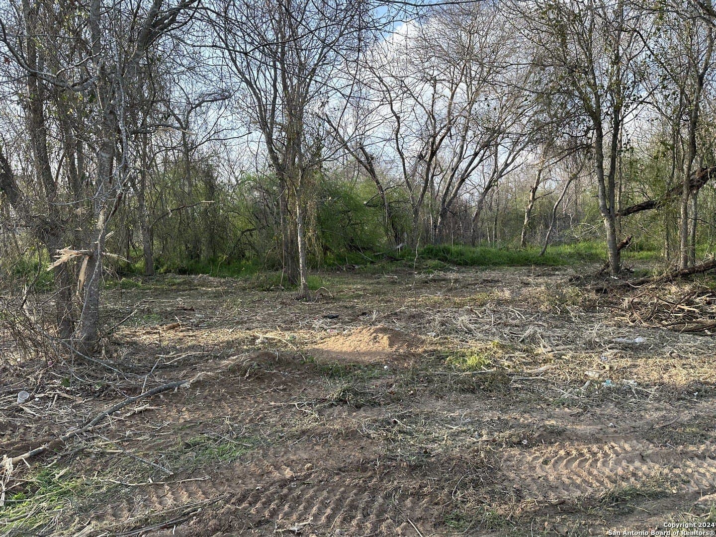 4.48 acres in Wilson County gallery image 4