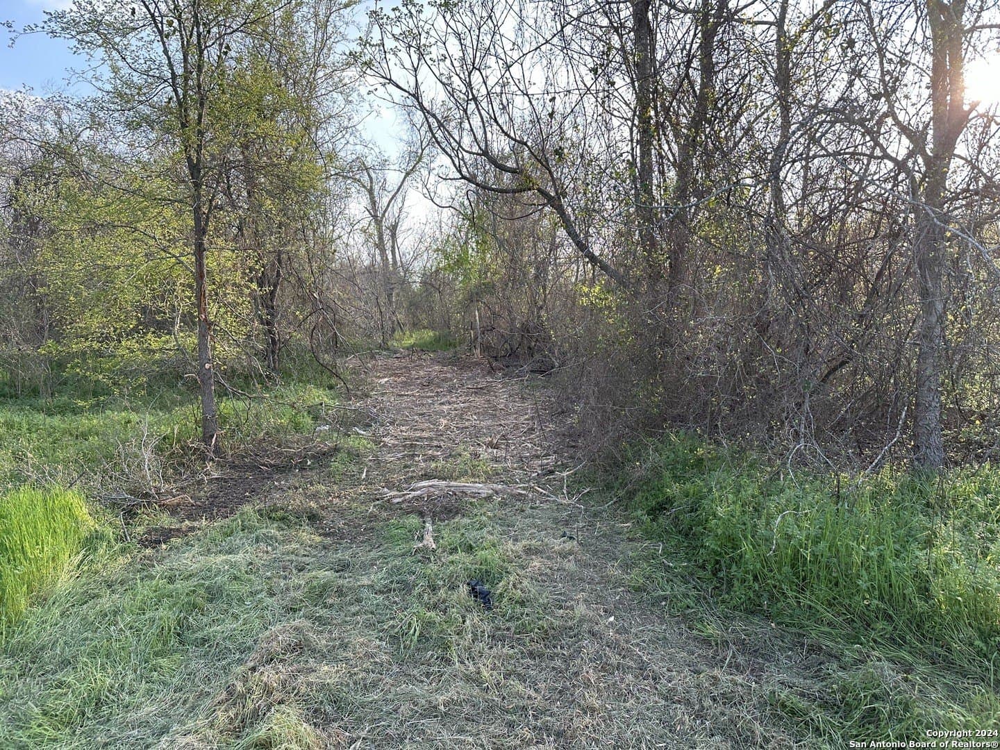 4.48 acres in Wilson County - photo 7
