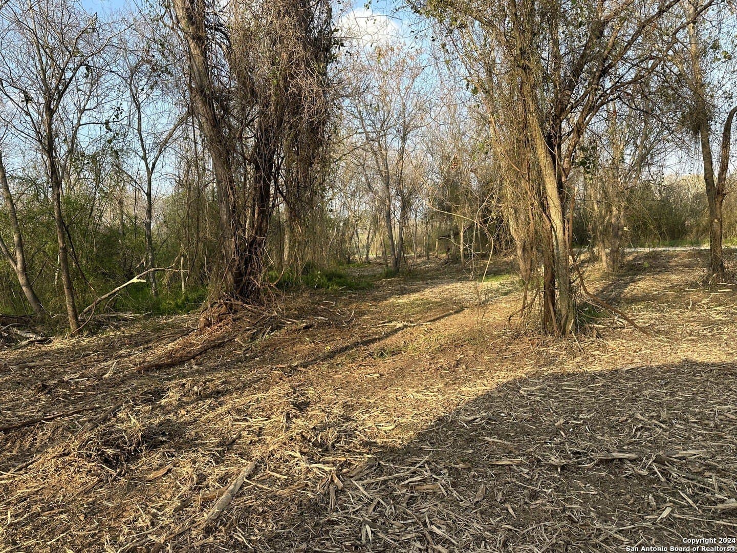 4.48 acres in Wilson County gallery image 2