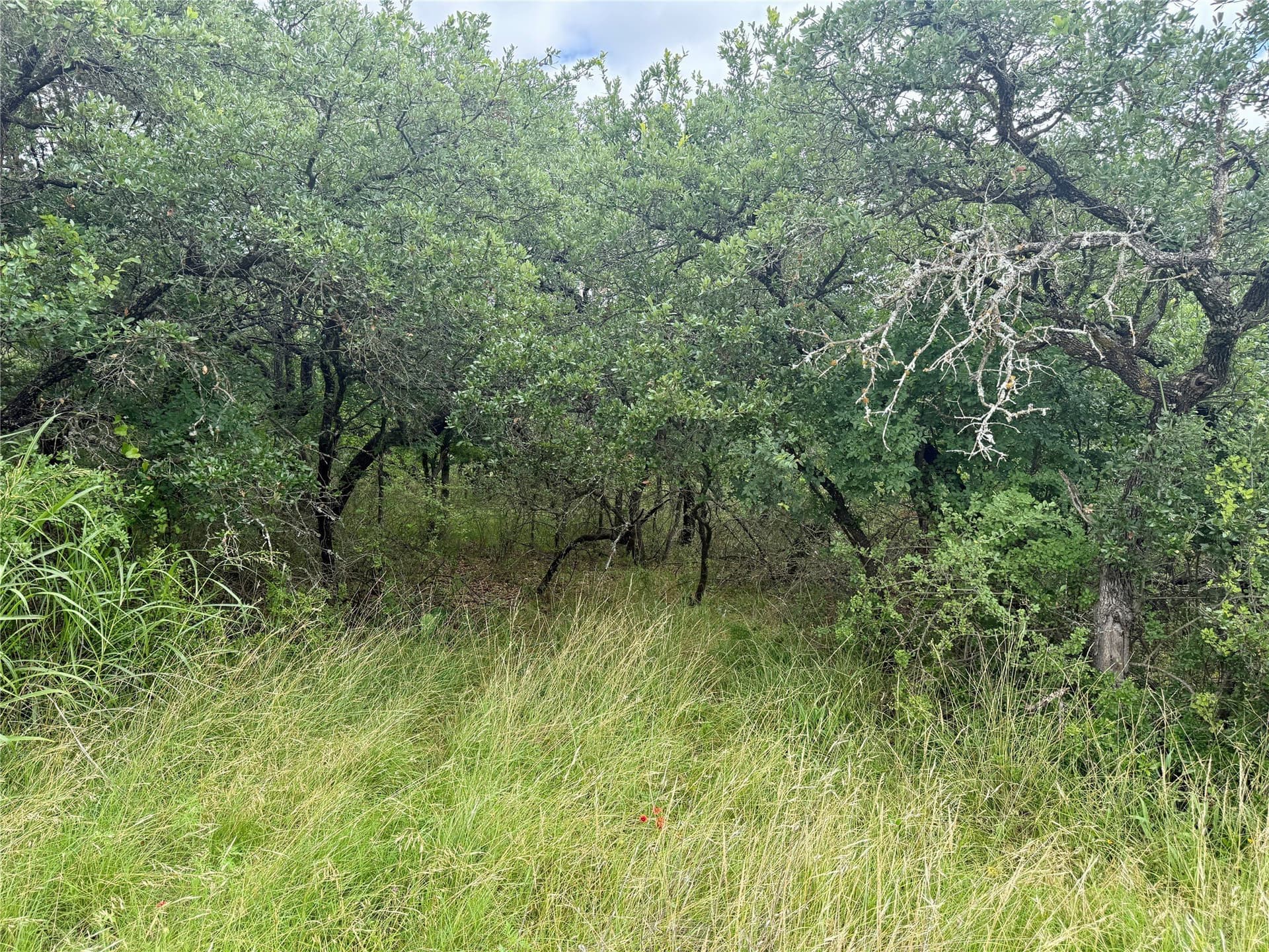 1.23 acres in Brown County - photo 13