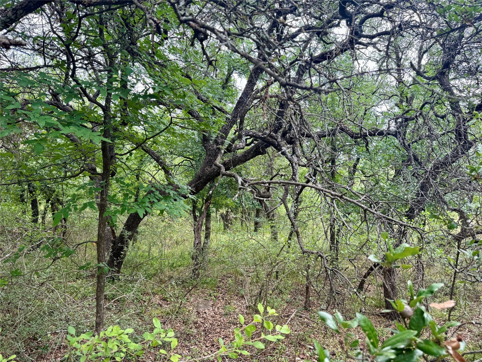 1.23 acres in Brown County - photo 22