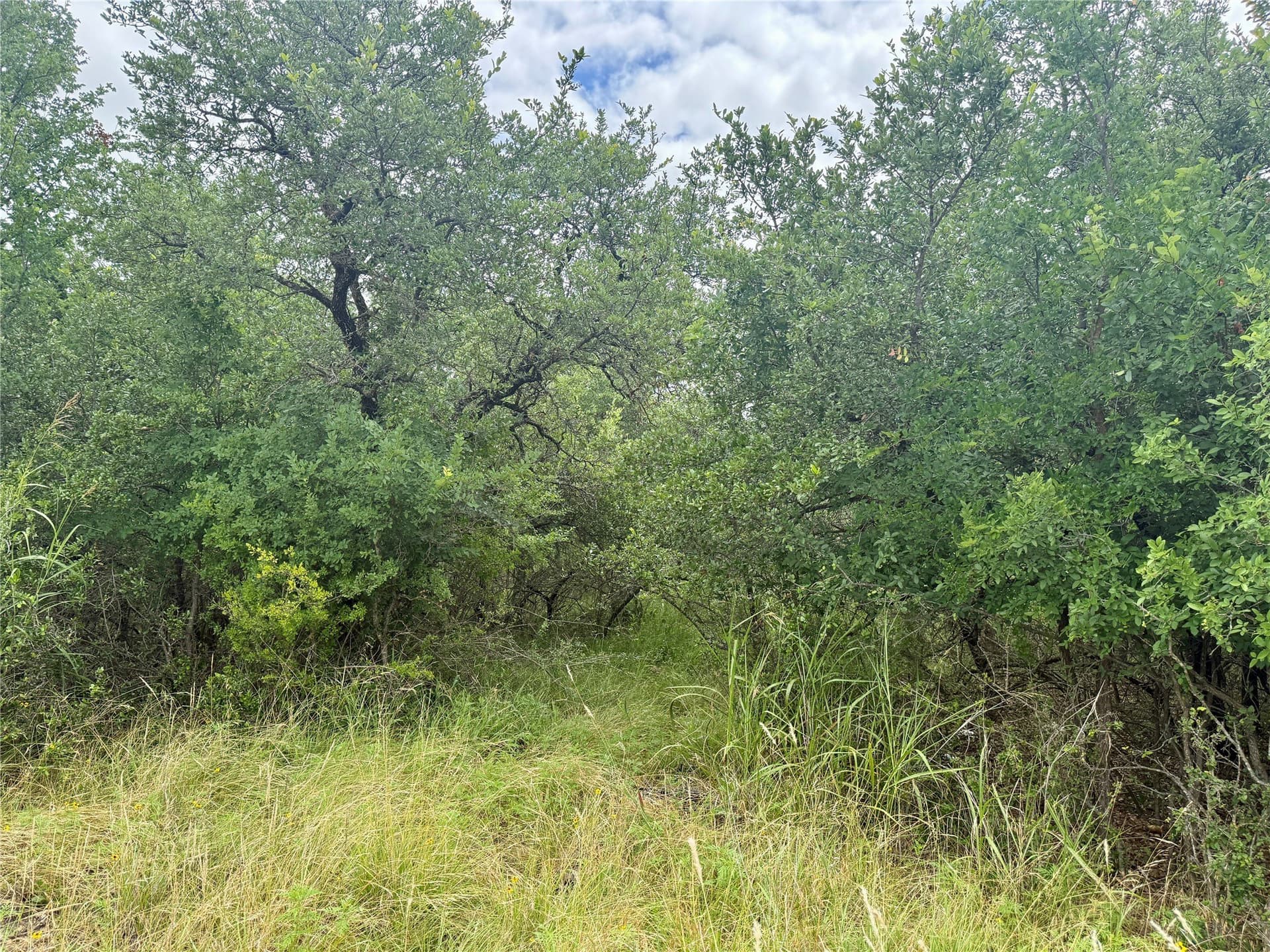 1.23 acres in Brown County - photo 6