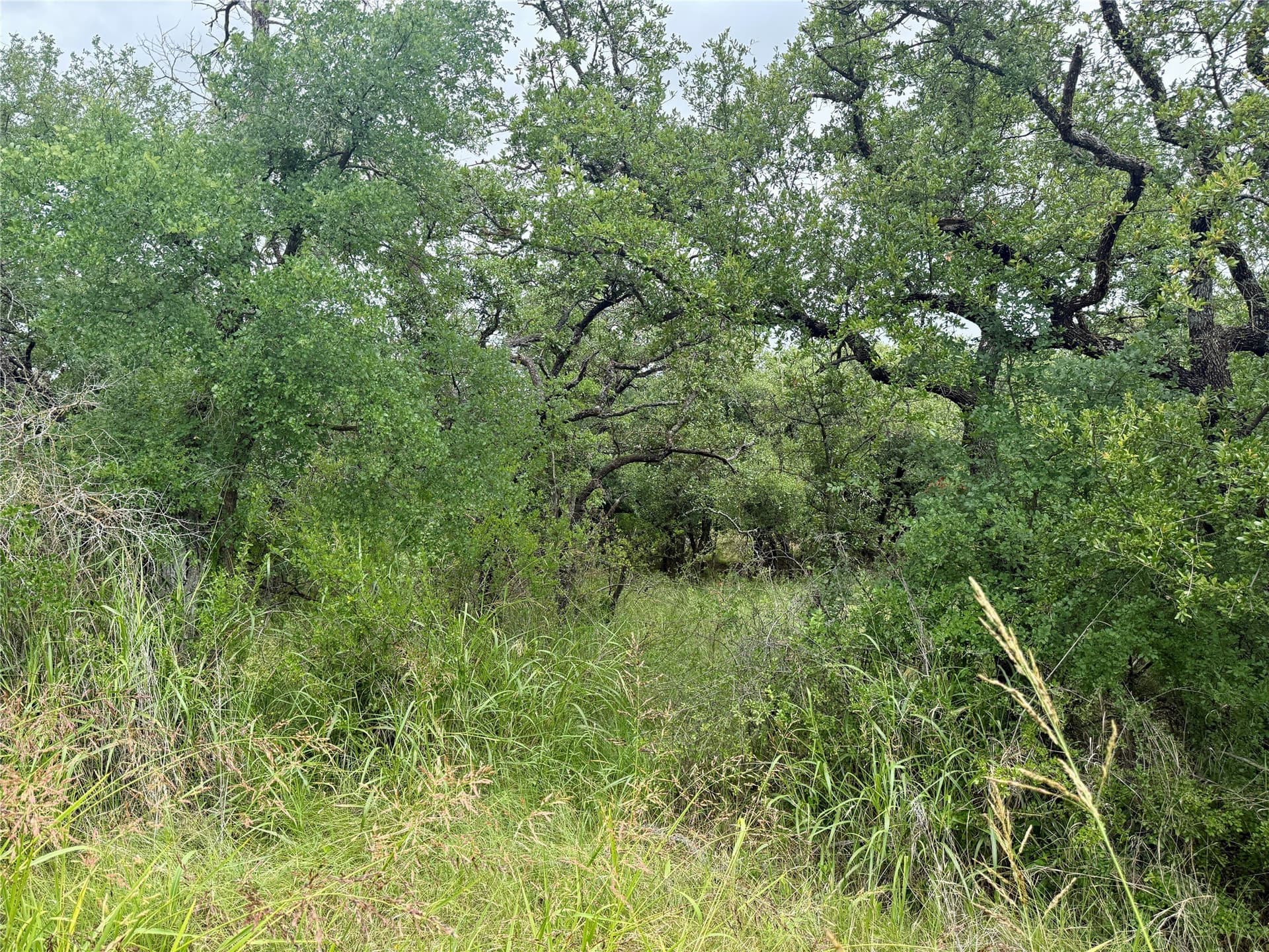 1.23 acres in Brown County - photo 15