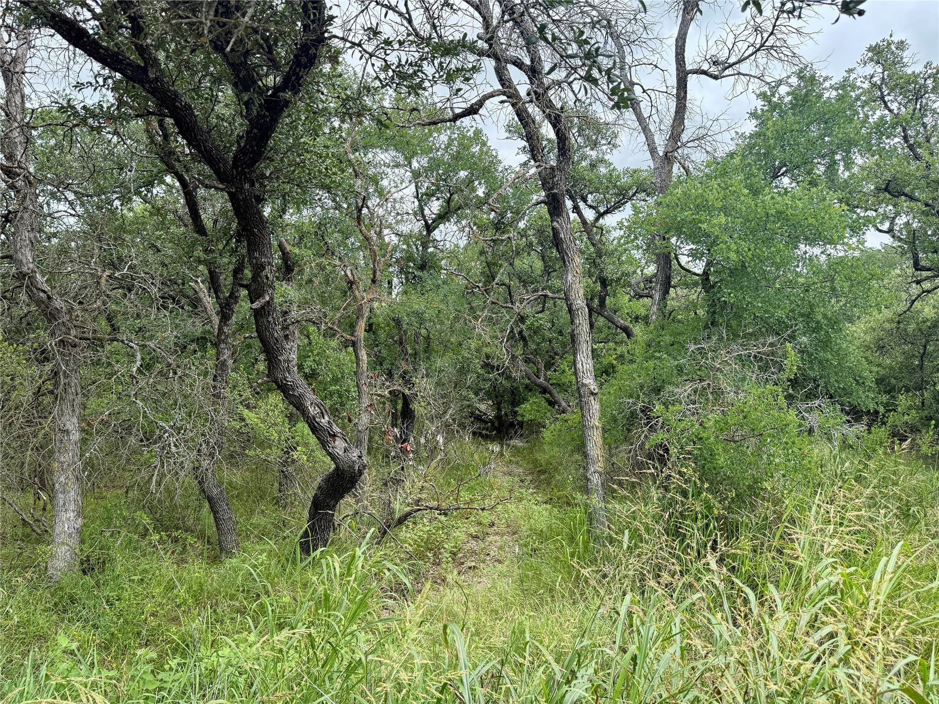 1.23 acres in Brown County - photo 18