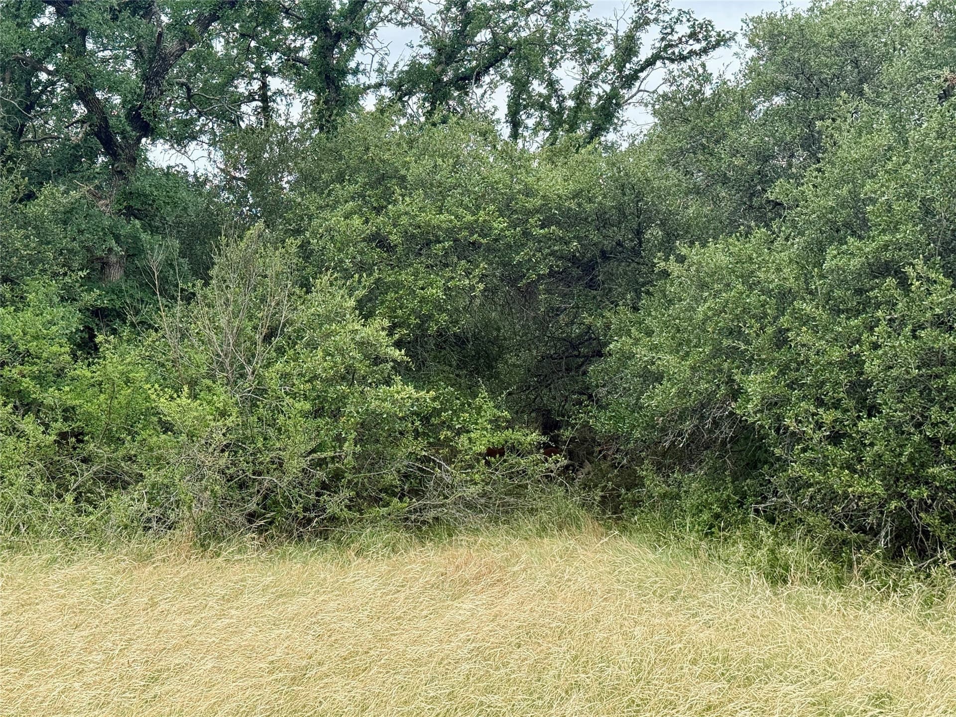 1.23 acres in Brown County - photo 16