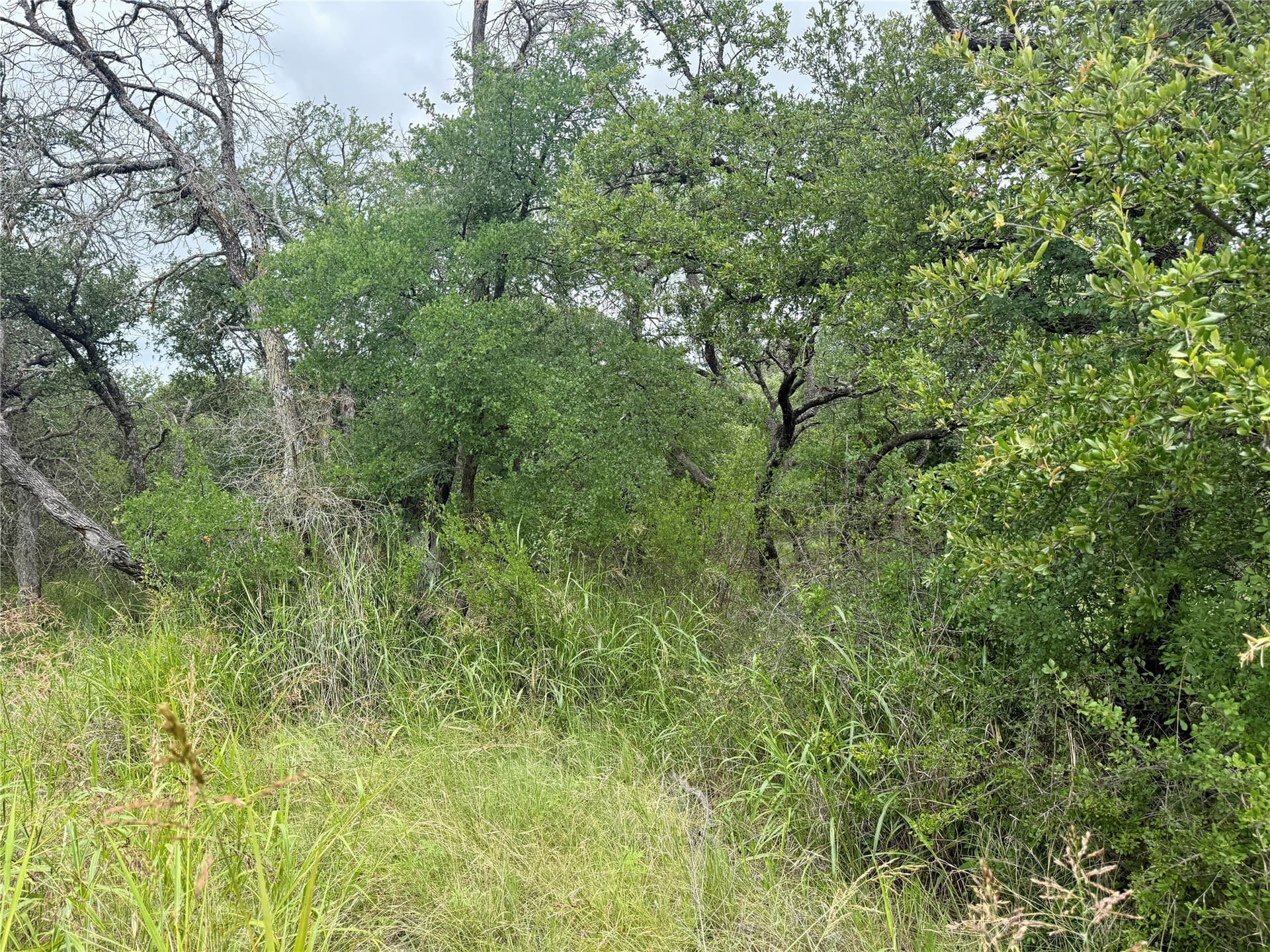 1.23 acres in Brown County - photo 14