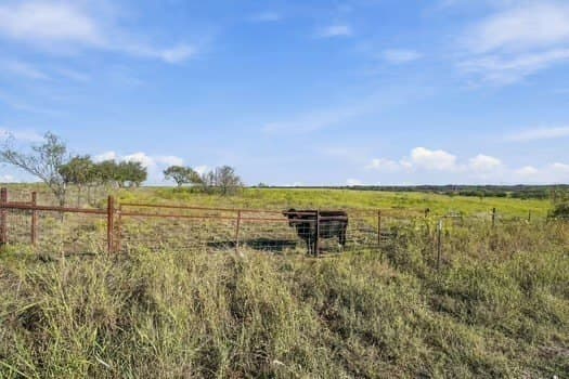 50 acres in Hill County - photo 8