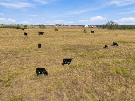 50 acres in Hill County - photo 7