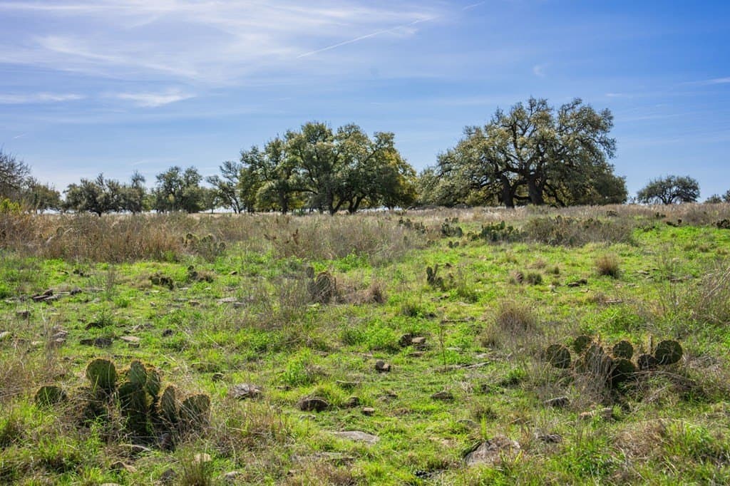 5.61 acres in Gillespie County - photo 9