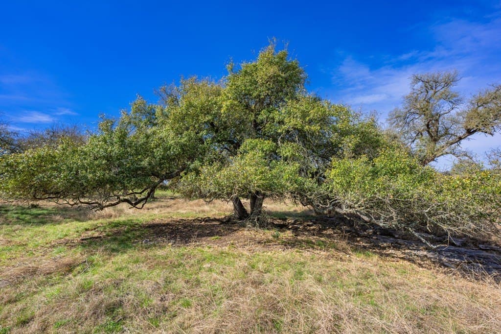 5.61 acres in Gillespie County - photo 10