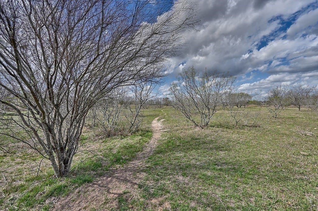 156.92 acres in Lee County gallery image 3