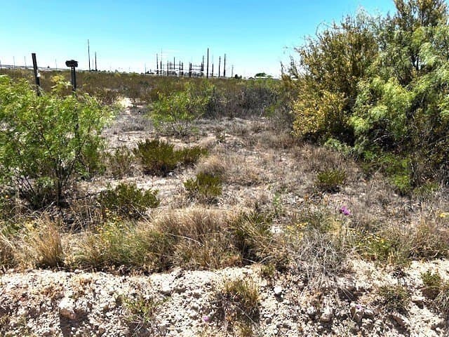 10.8 acres in Pecos County featured view