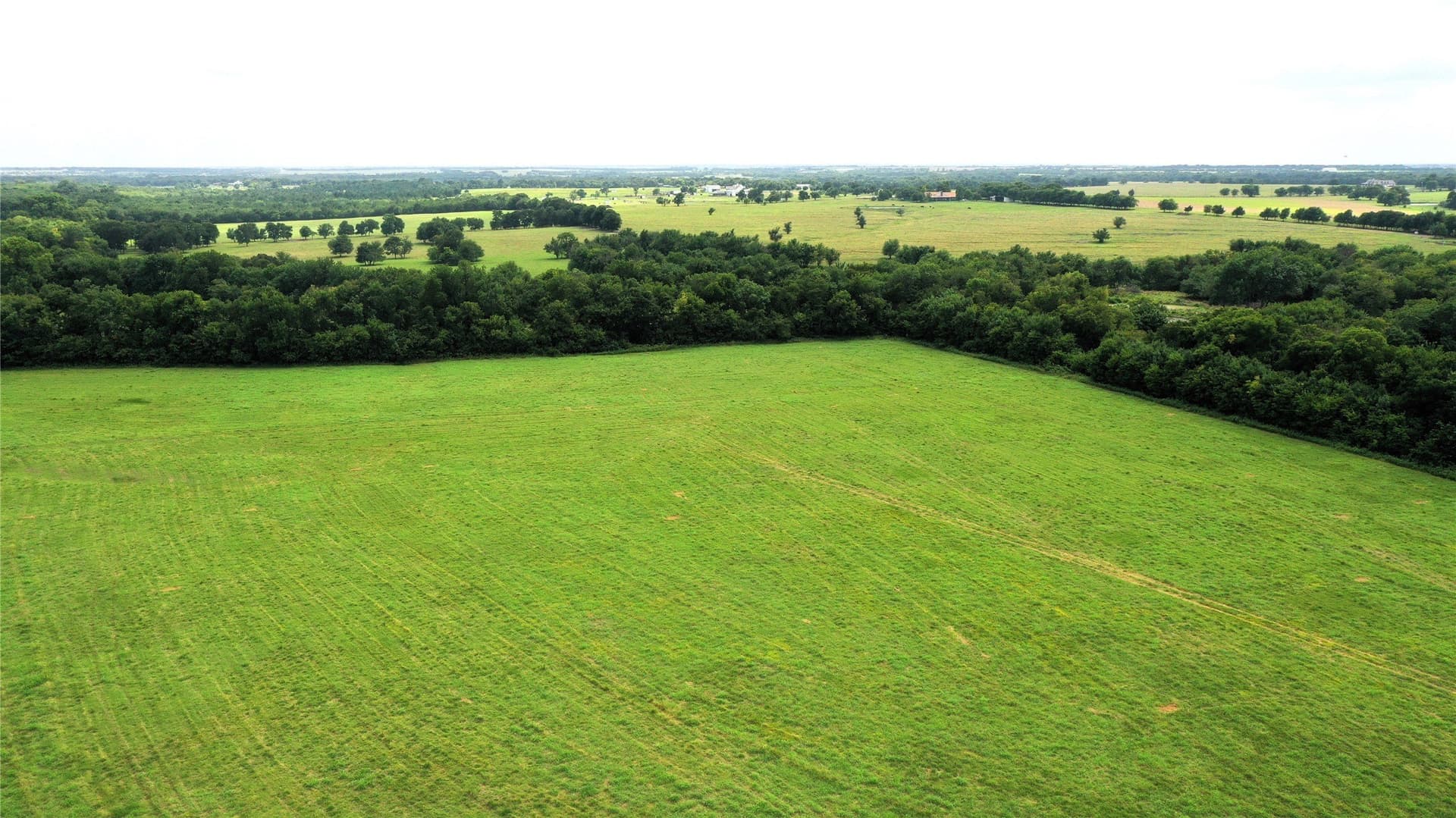 100 acres in Hunt County - photo 13