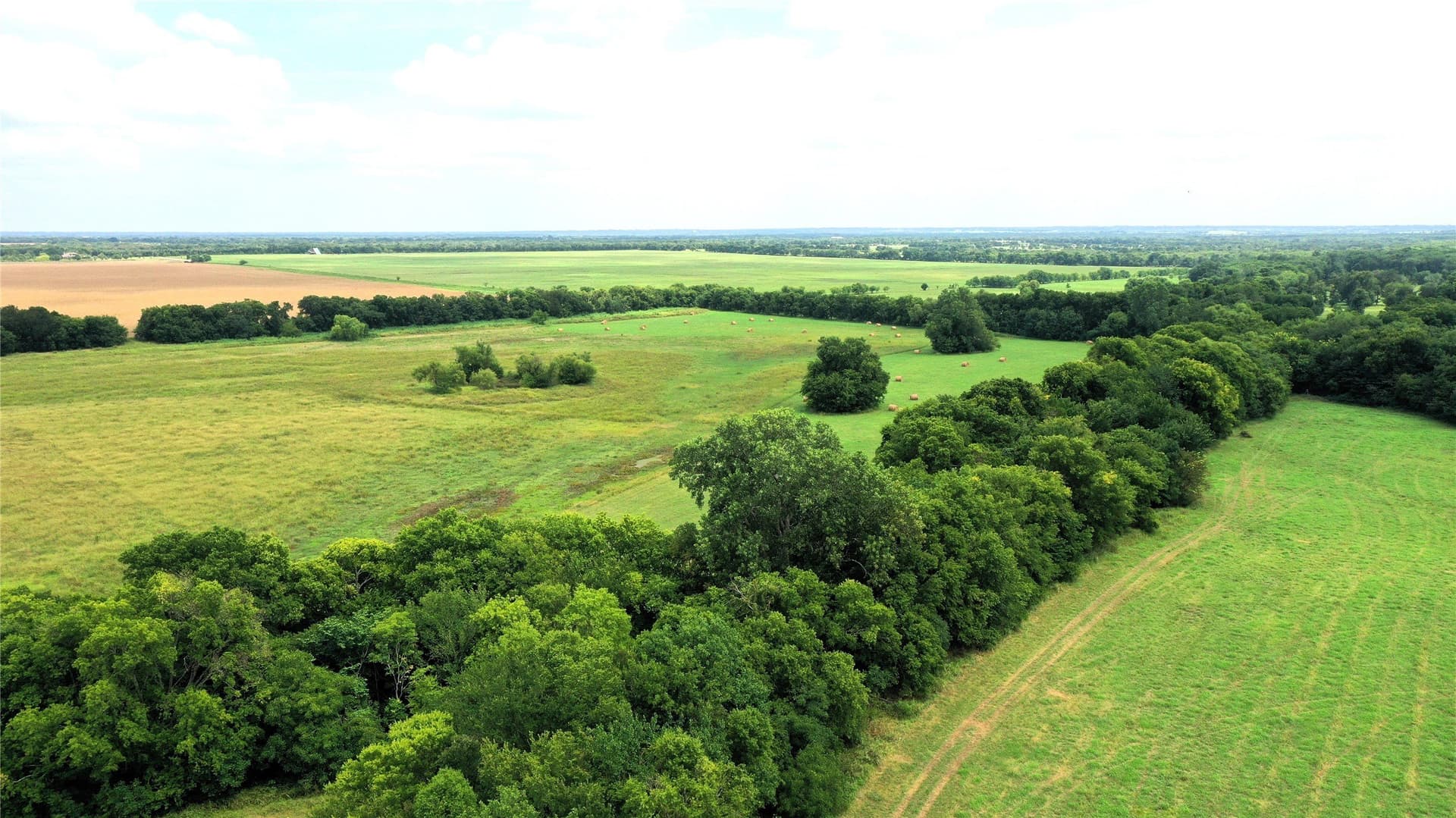 100 acres in Hunt County - photo 12