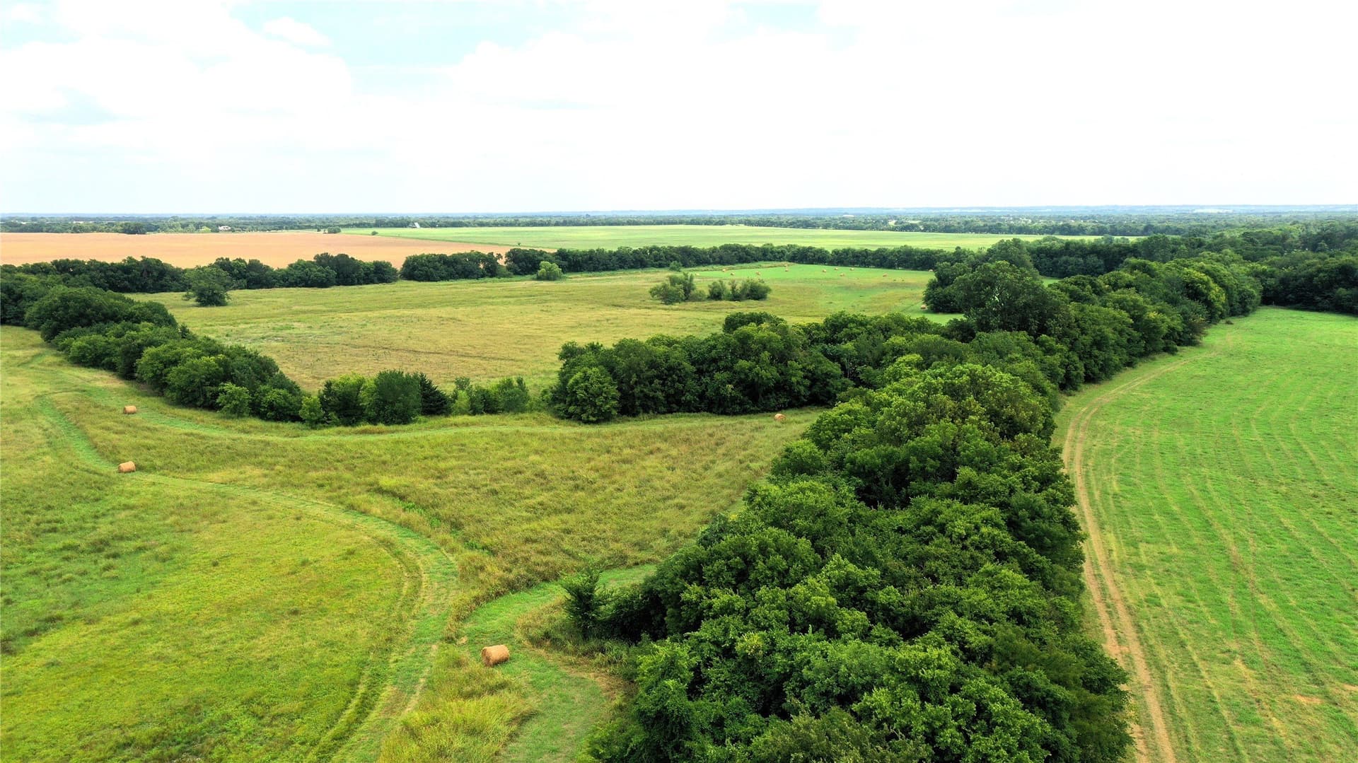 100 acres in Hunt County - photo 10