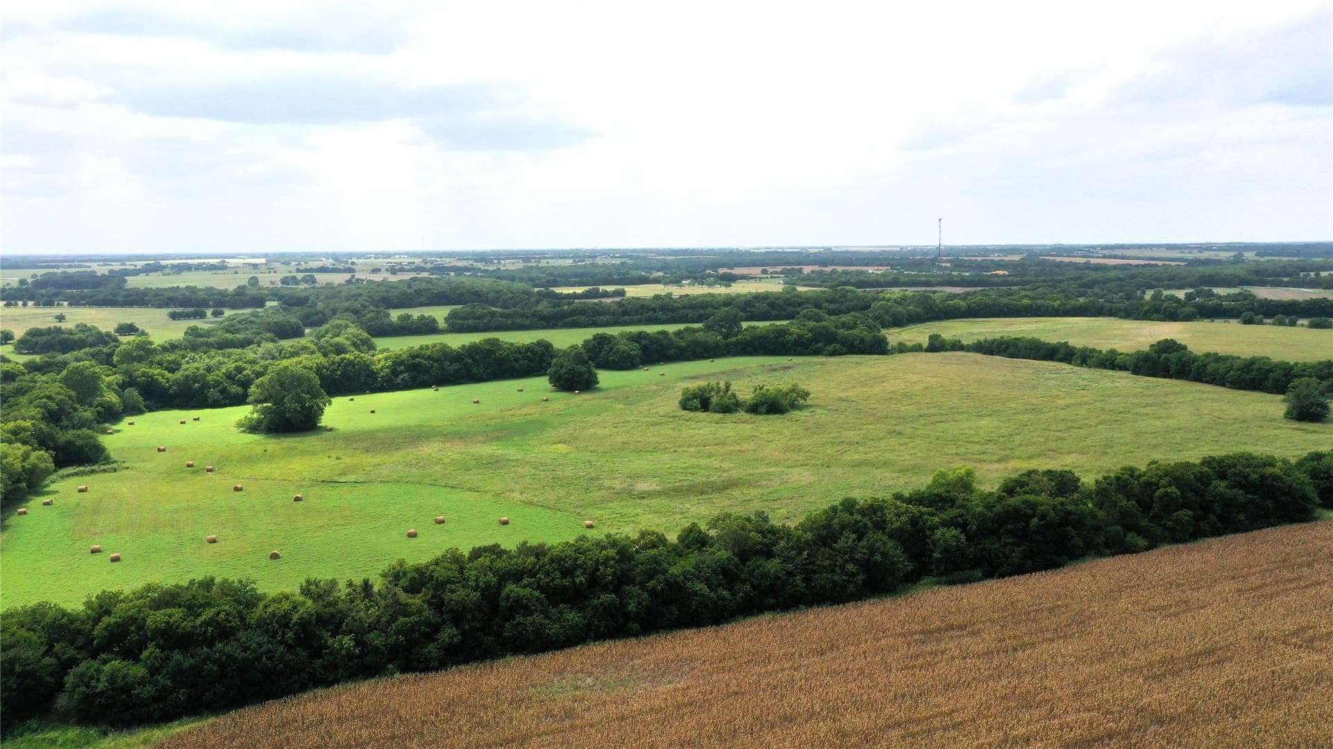 100 acres in Hunt County - photo 23