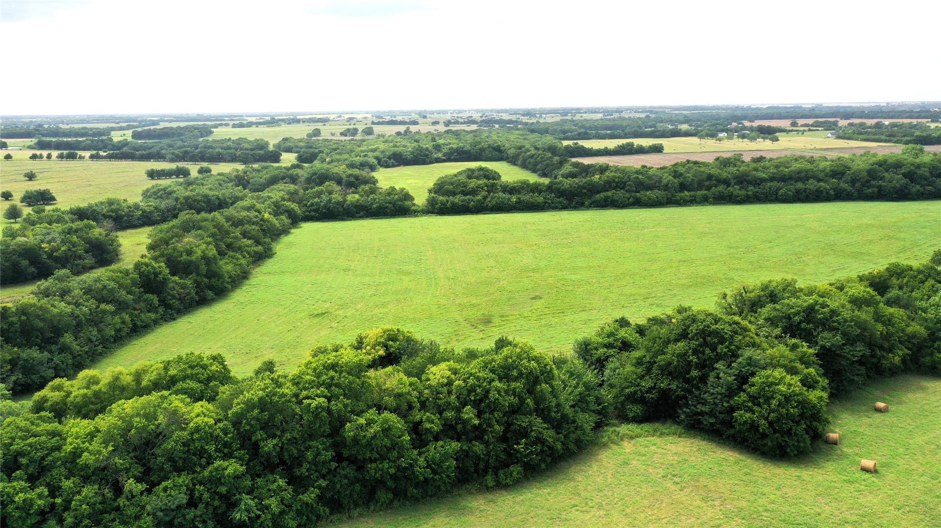 100 acres in Hunt County - photo 18