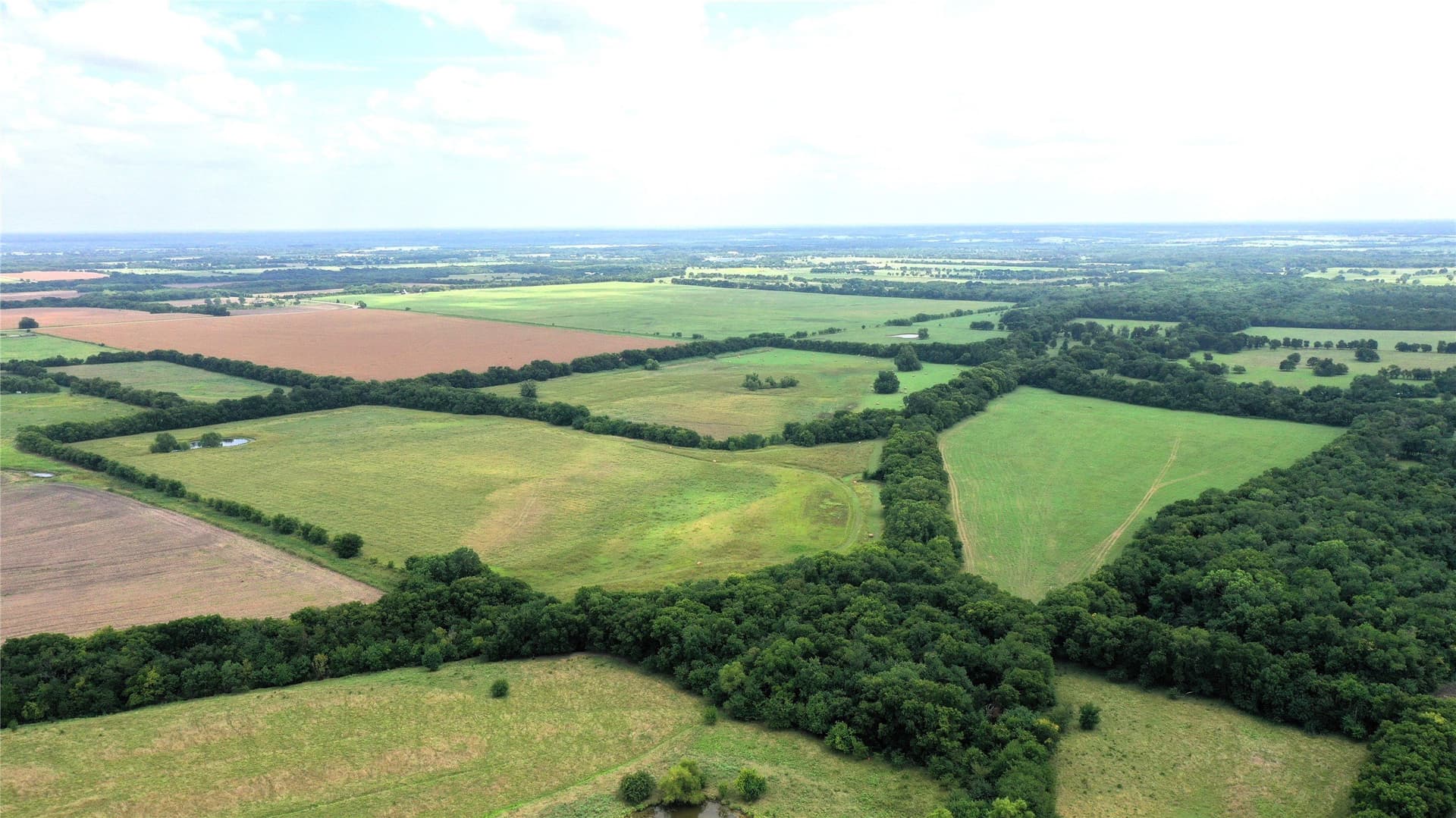 100 acres in Hunt County gallery image 4