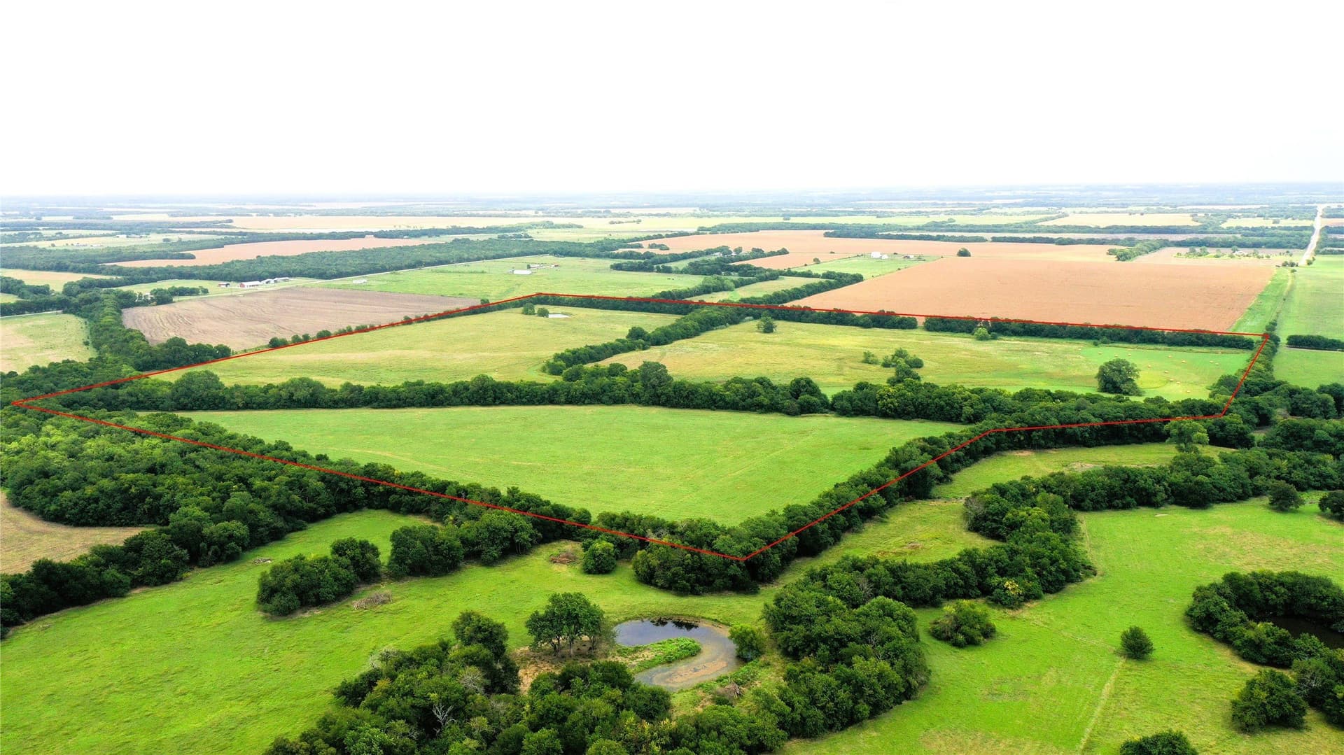 100 acres in Hunt County gallery image 3