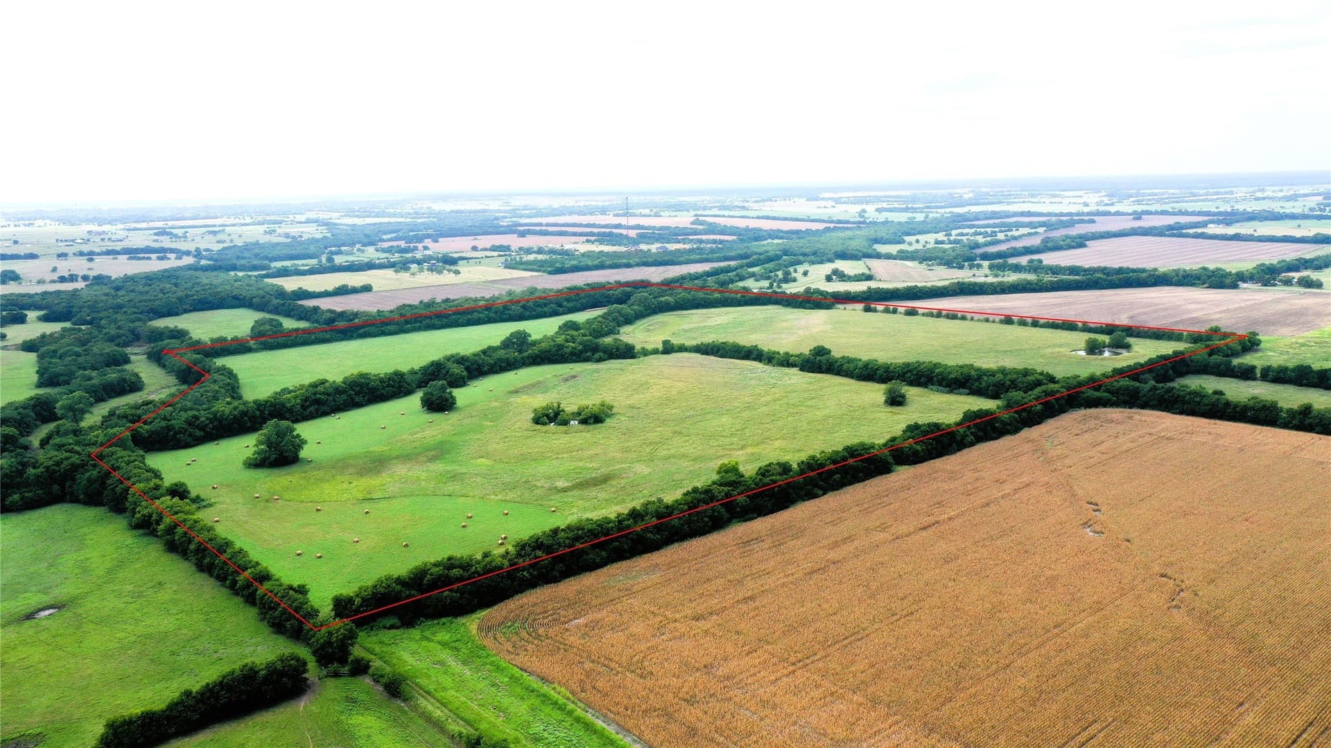 100 acres in Hunt County gallery image 2