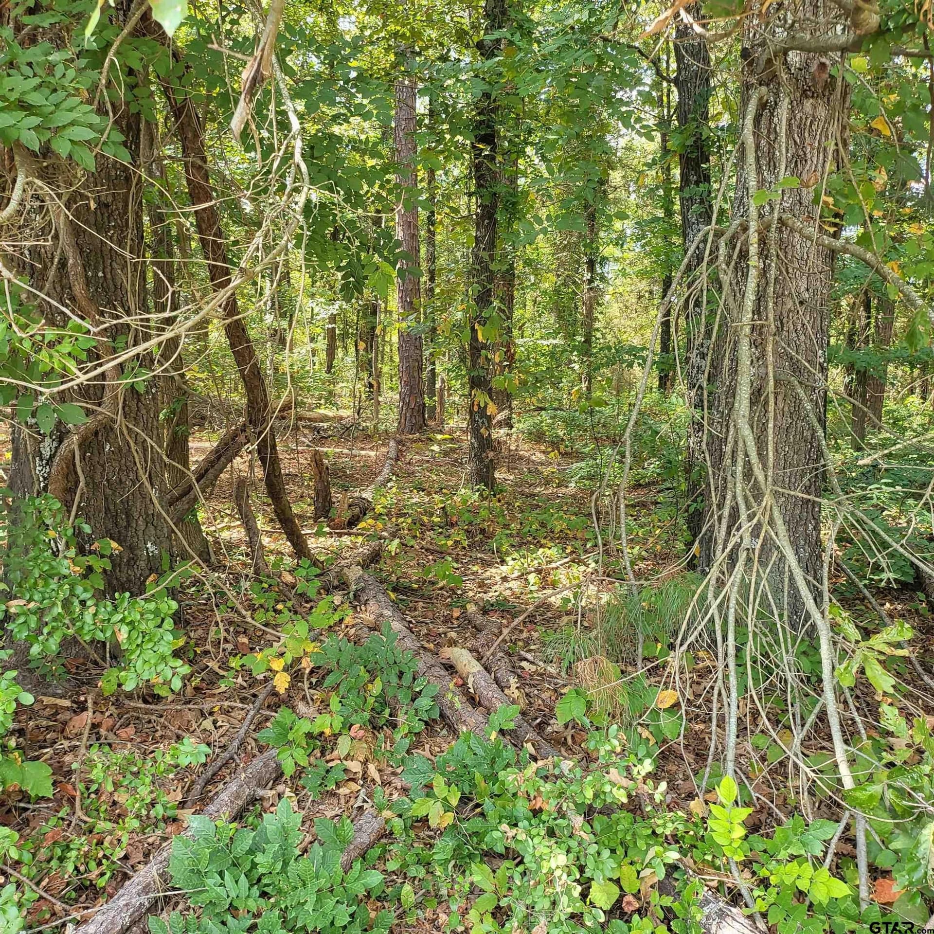 0.93 acres in Smith County