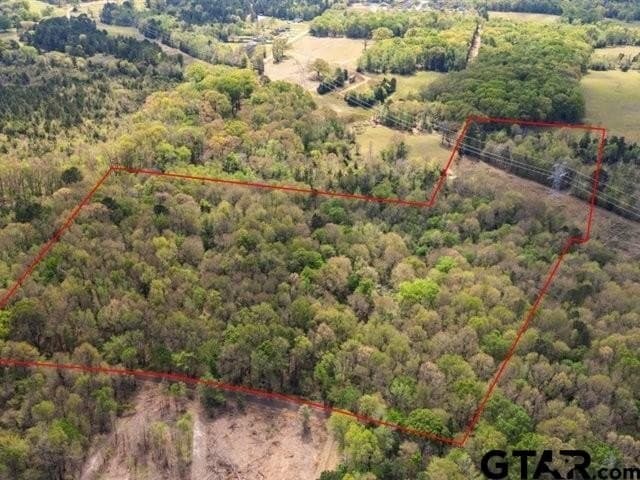 0.93 acres in Smith County gallery image 2