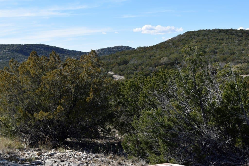 148.9 acres in Edwards County gallery image 3