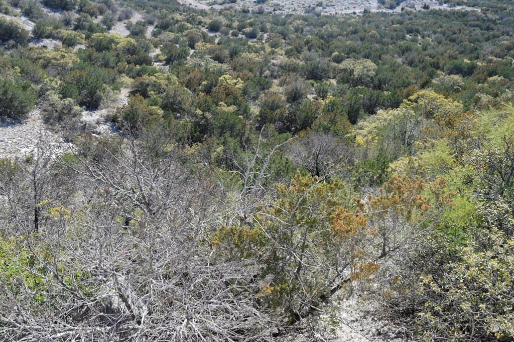 148.9 acres in Edwards County featured view