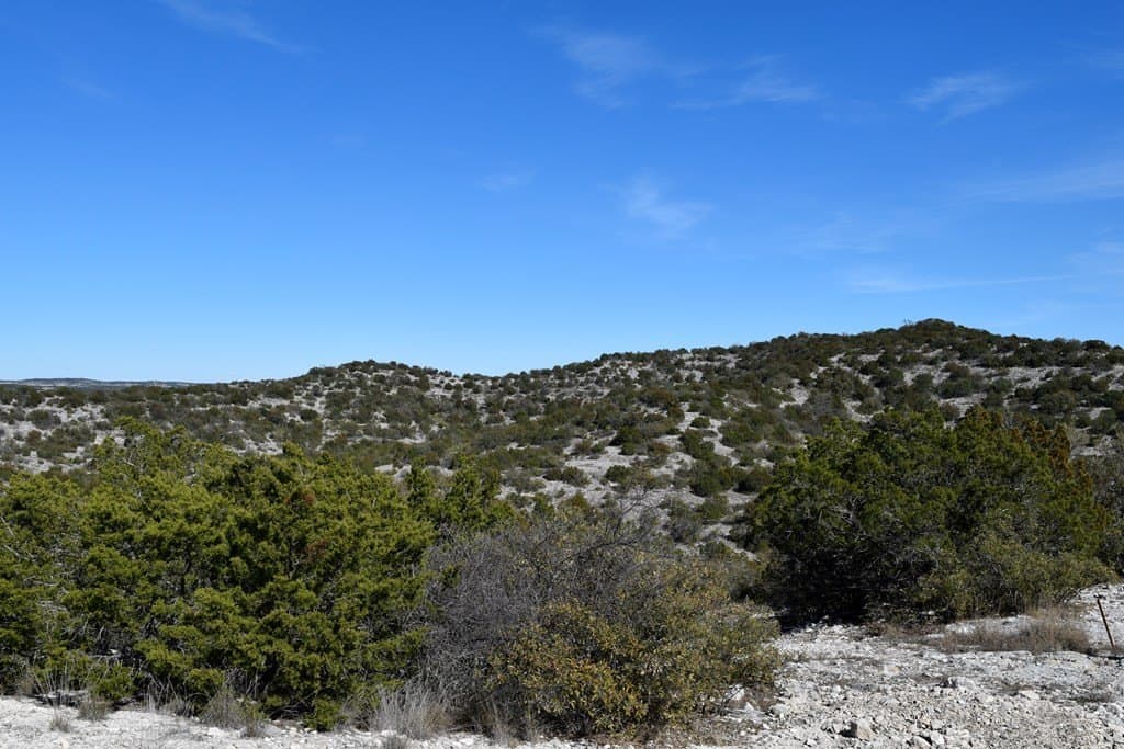148.9 acres in Edwards County gallery image 4