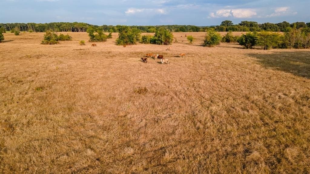 55 acres in Smith County featured view