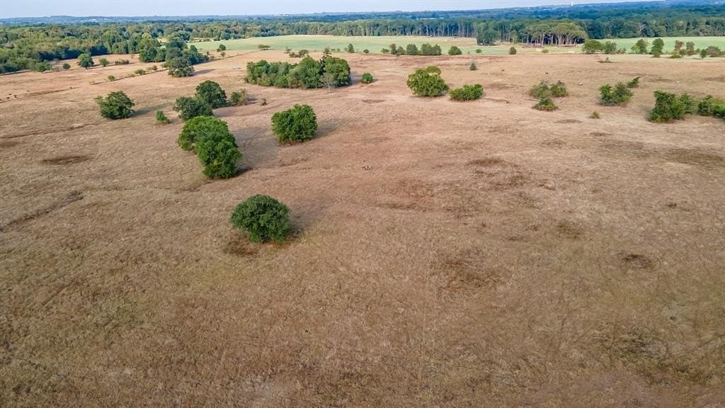 55 acres in Smith County gallery image 4