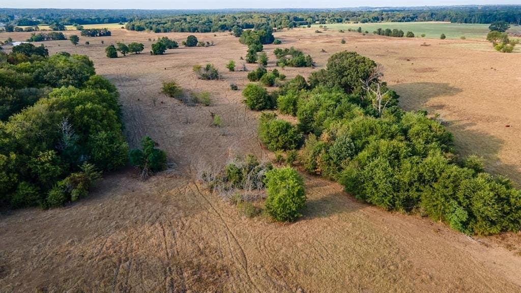 55 acres in Smith County gallery image 3