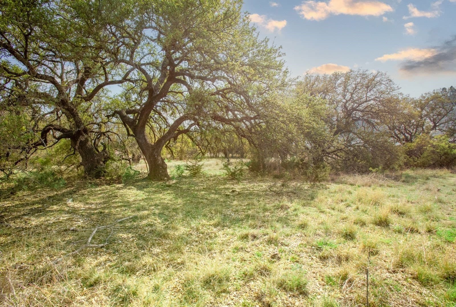 122 acres in Mills County - photo 24